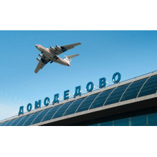 Зоотакси для собак и кошек в Аэропорт Домодедово